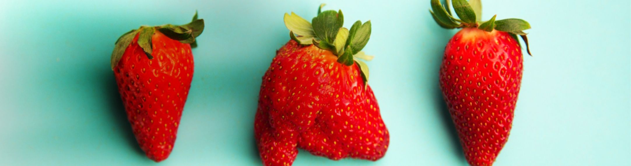 frutillas buenas y dañadas