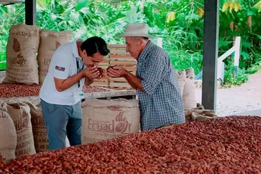 Mejorando la vida de nuestros agricultores