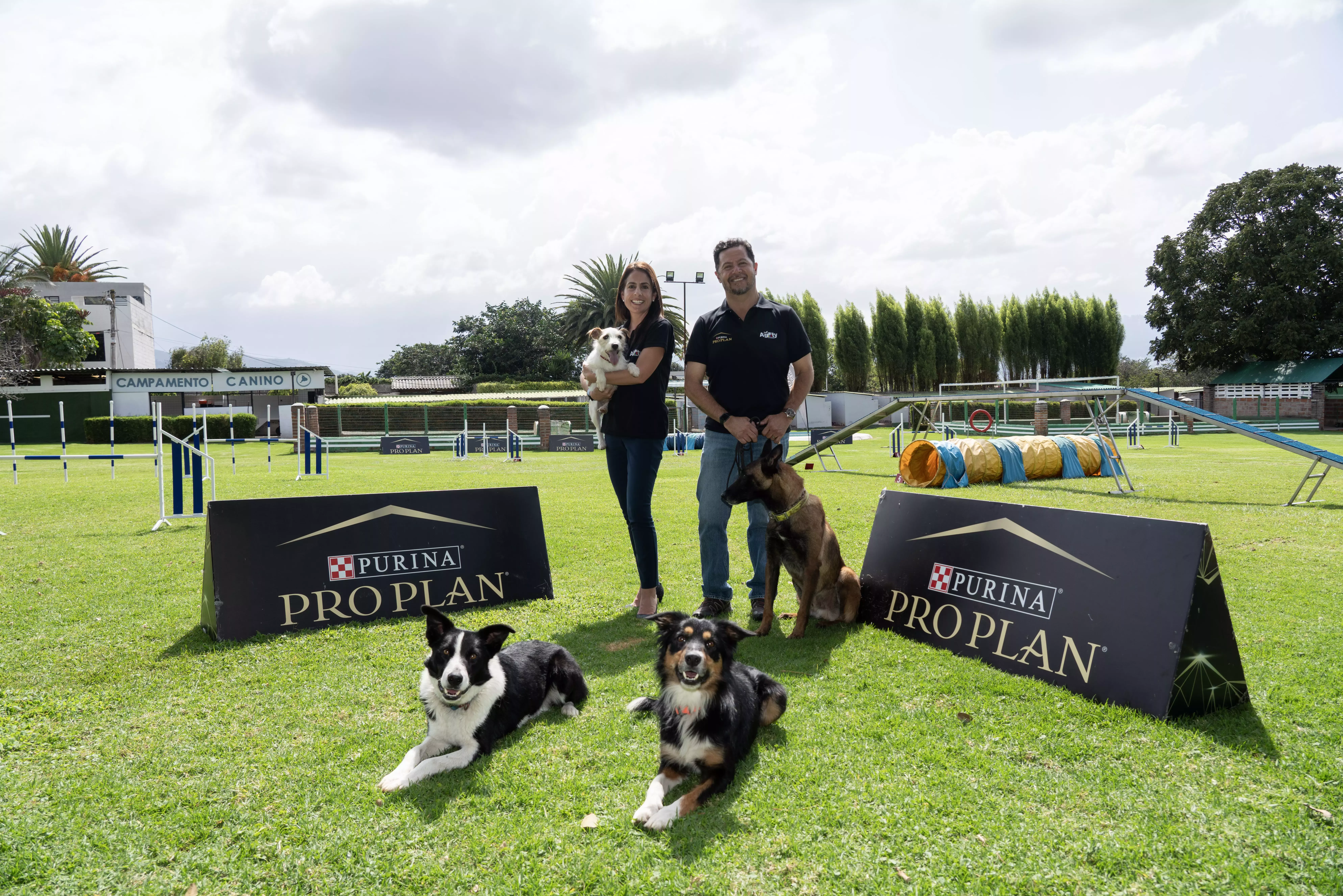 Agility inicio