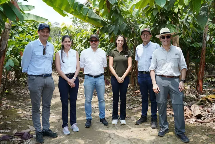 Plan Cacao siembra medio millón de árboles maderables