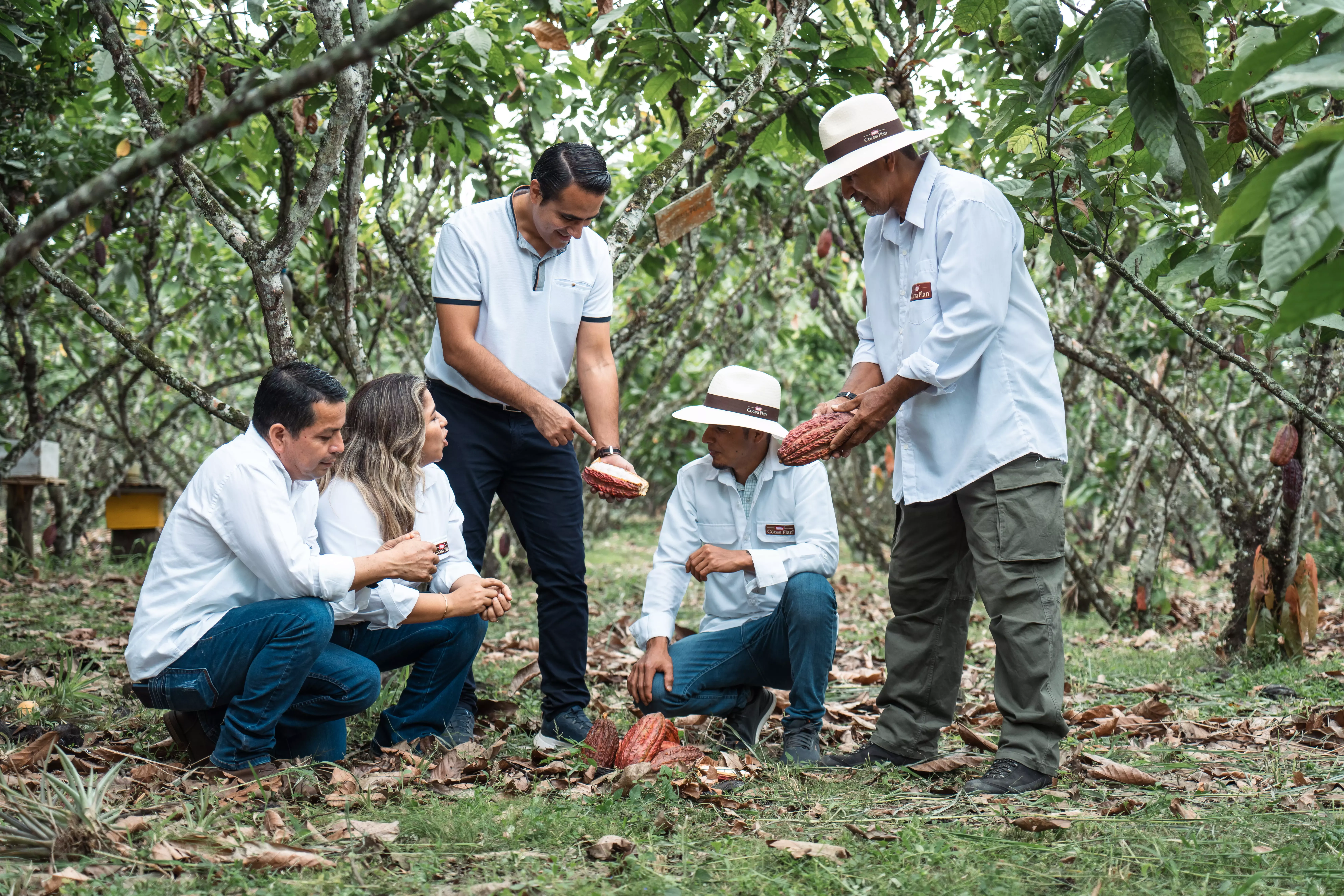 Foto Oficial Cocoa Plan