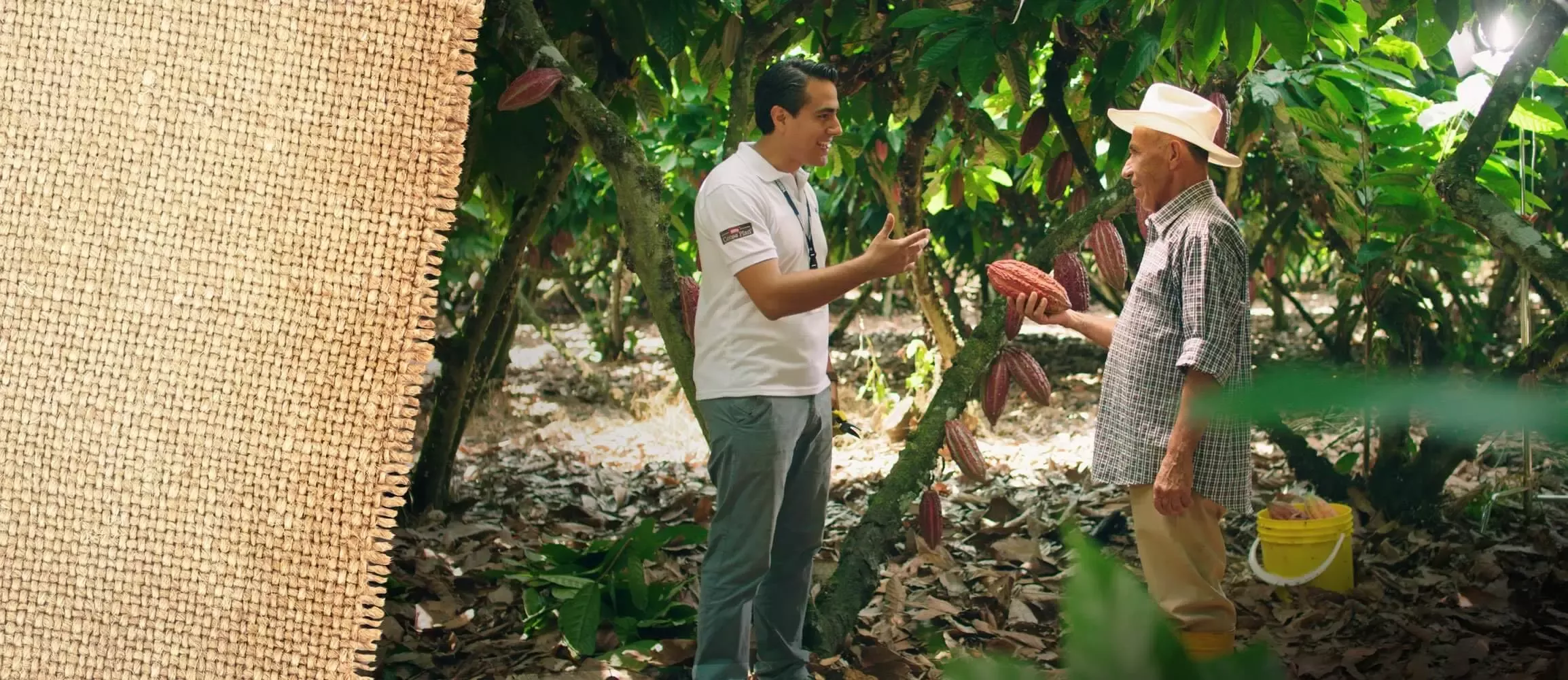 Nestlé fomenta la agricultura Ecuatoriana
