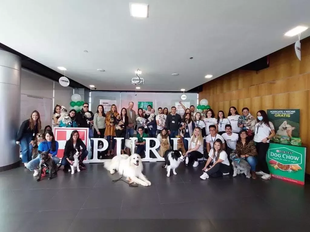 “Pets at work: Colaboradores de Nestlé llevan a sus mascotas a la oficina